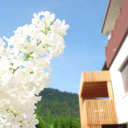 B&B Casa Sul Lago - Appartamenti Кальчераніка-аль-Лаґо Номер фото