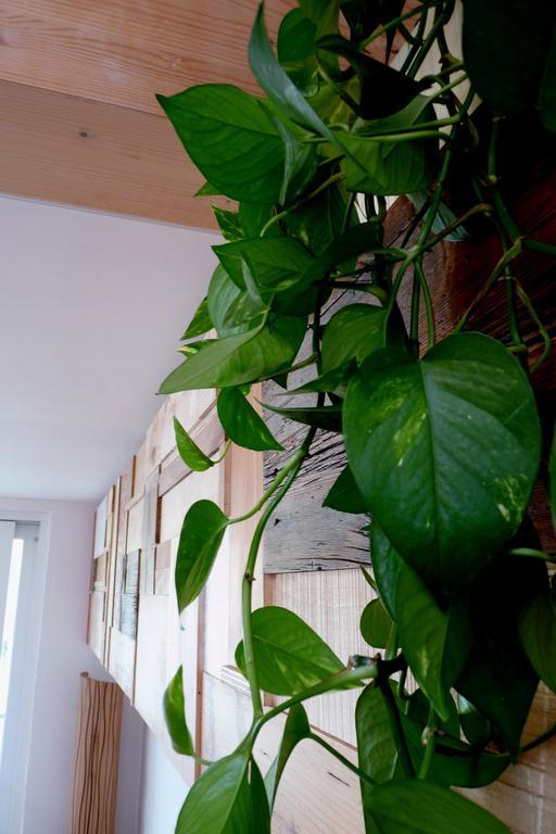 B&B Casa Sul Lago - Appartamenti Кальчераніка-аль-Лаґо Номер фото