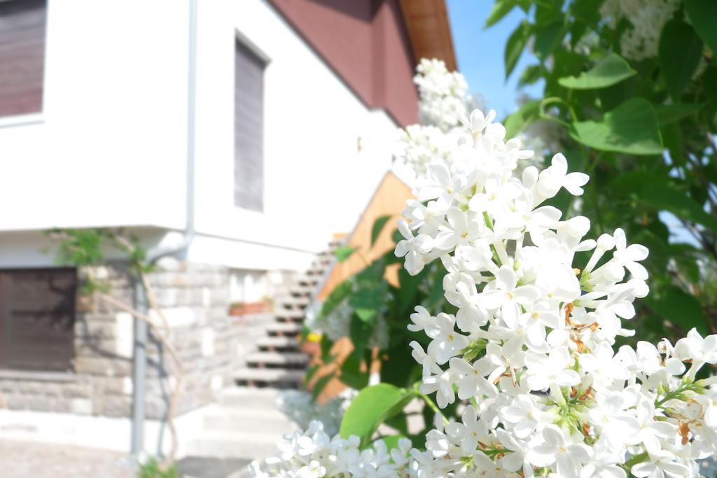 B&B Casa Sul Lago - Appartamenti Кальчераніка-аль-Лаґо Екстер'єр фото