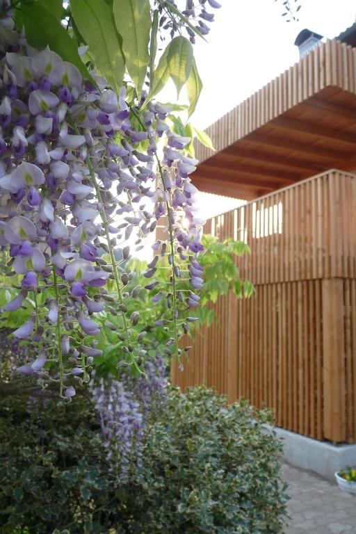 B&B Casa Sul Lago - Appartamenti Кальчераніка-аль-Лаґо Екстер'єр фото